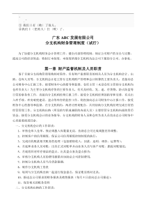 bh-rzdql分公司财务管理制度-ABC