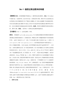 Bmi-1质粒载体的构建