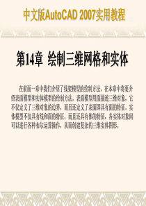 CAD2007教程完美版第14章_绘制三维网格和实体