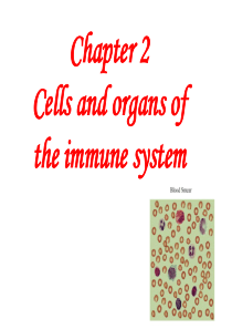 chapter2cellsandorgans.