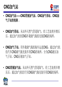 CNG加气站(主要设备工艺)