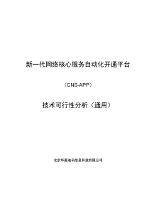 CNS技术可行性分析(通用版)