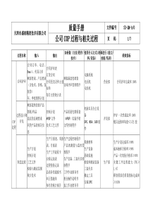 COP(顾客导向)过程与相关过程-SX
