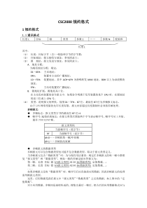 CSC2000规约格式