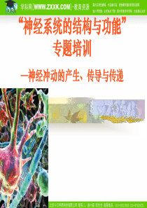浙江省XXXX年高中生物疑难问题解决专题培训资料：神经系统的