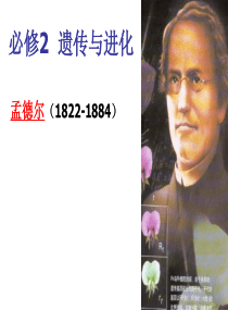 浙科版生物必修二 第一章 孟德尔定律分离定律