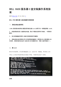 DELLR430服务器U盘安装操作系统指南