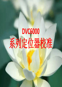 DVC6000系列定位器475手操器调试
