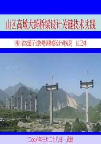 山区高墩大跨桥梁设计关键技术实践