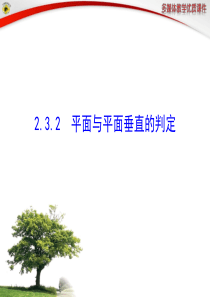 232平面与平面垂直的判定.