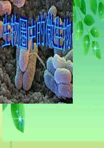 23济南版七年级生物生物圈中的微生物复习课件