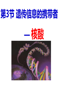 23遗传信息携带者核酸上课课件