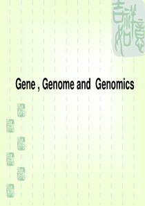 26-硕士研究课现代分子生物学基因基因组和基因组学-胡忠