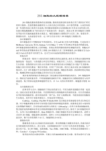 293细胞的大规模培养