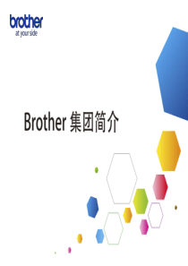 2兄弟中国company_presentation_ch