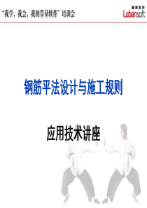 2平法和软件应用.
