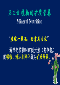 2植物生理学课件(矿质营养)