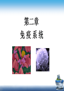 2第二章免疫系统
