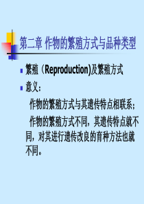 2繁殖方式