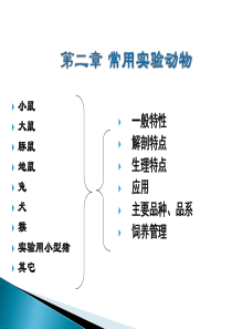 2常用实验动物