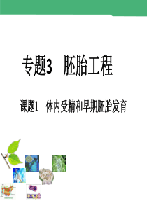 31《体内受精和早期胚胎发育》