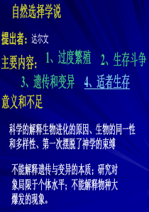 现代生物进化理论的主要内容ppt