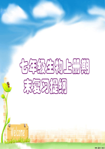 生物__七年级上册期末复习提纲