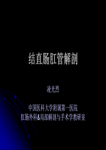 3结直肠肛管解剖-凌光烈