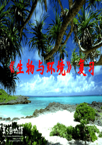 生物与环境复习