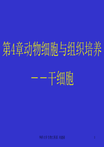 42动物细胞与组织培养-干细胞