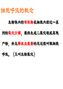生物体内的有机物在细胞内经过一系列的氧化分解-免费教育资