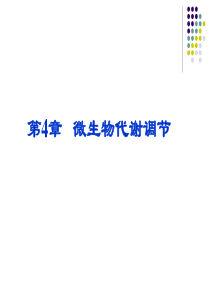 4微生物的代谢调节