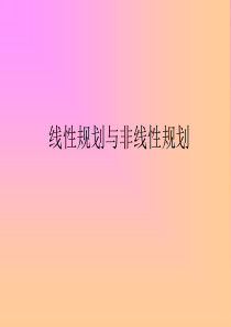 4线性规划与非线性规划.