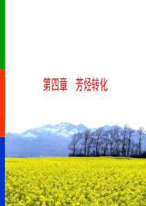 4芳烃转化过程2014.