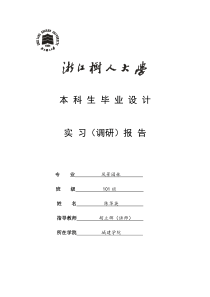 3调研报告