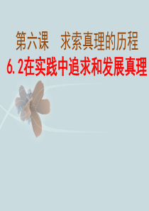 62在实践中追求和发展真理.