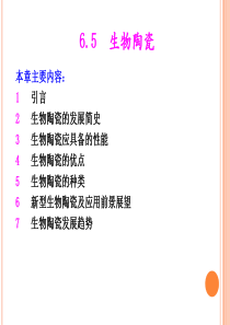 66生物陶瓷