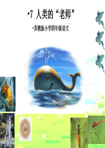7《人类的老师》课件