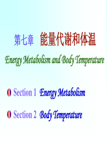 7能量与体温7.