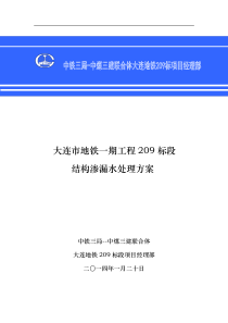 结构堵漏方案