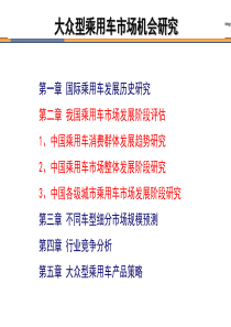 大众乘用车市场机会及进入策略(最终)