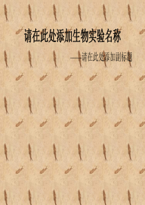 生物实验教学课件制作模板