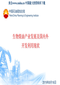 生物柴油产业发展及国内外开发利用现状（PPT 60页）