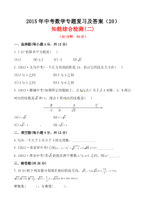 2015年中考数学专题复习及答案(20)