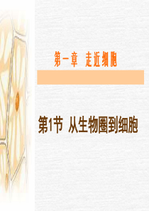 生物的多样性。PPT