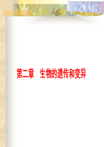 生物的遗传和变异