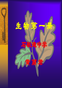 生物第一册