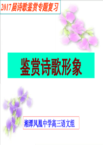 2017届高三诗歌鉴赏--形象