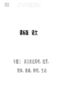 2017届高考人教版新课标语文一轮复习课件专题三语言表达简明连贯得体准确鲜明生动