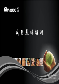 威固__汽车贴膜威固太阳膜基础知识培训